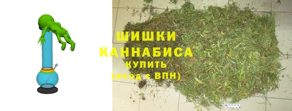 индика Богородск