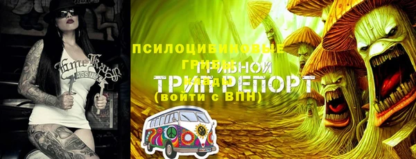 индика Богородск
