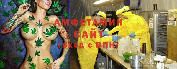 экстази Богданович