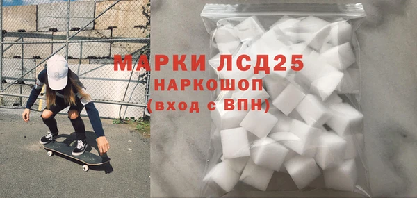 индика Богородск