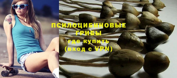индика Богородск