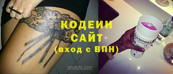 индика Богородск